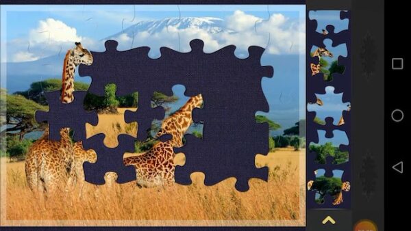 Digital Jigsaw Puzzles